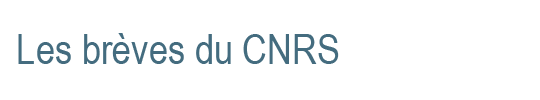 Les br�ves du CNRS
