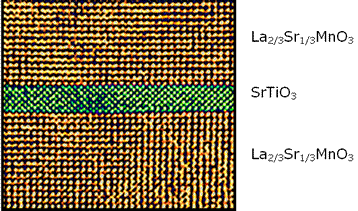 coupe microscopie