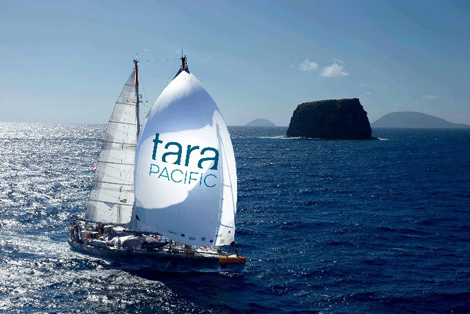 tara-bateau
