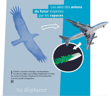 Visuel fresque 2
