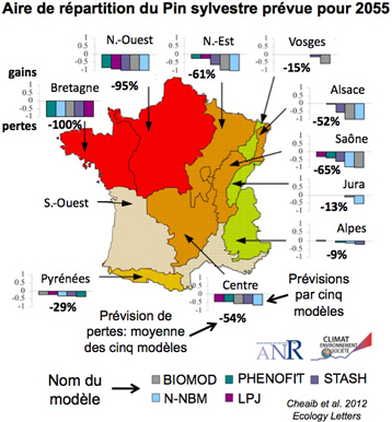 Carte-Pin