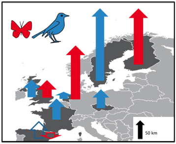 rechauffement climatique biodiversite rechauffement climatique biodiversite
