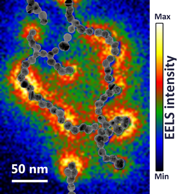 Collier nanoparticules or