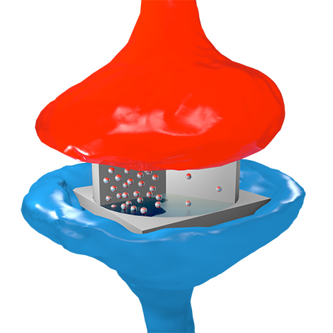 Image synapse