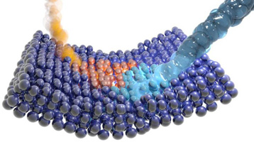 SchémaMembrane