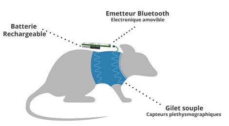 Etisense1