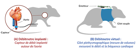 Etisense2