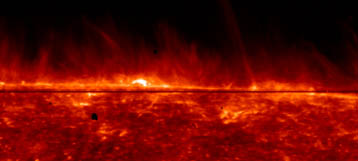Figure3
