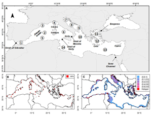 Mapa de la cuenca mediterránea