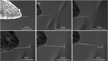 Nanotubes3