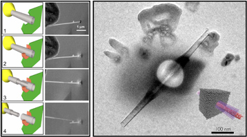 Nanotubes2