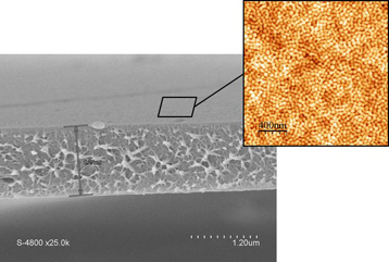 ImagesMembrane