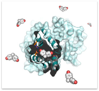 BisphenolA_Inserm