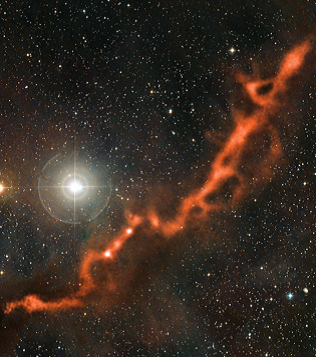 Image1