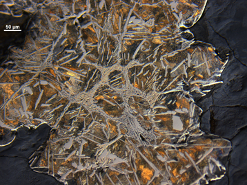 metallographie