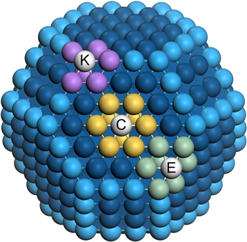 schéma catalyseur