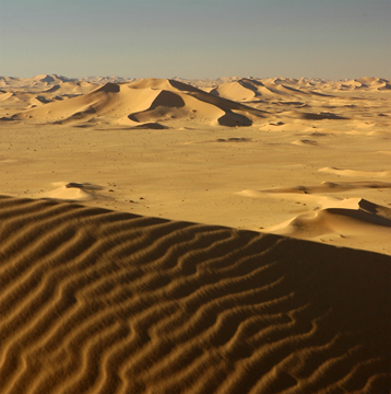 Image Dune