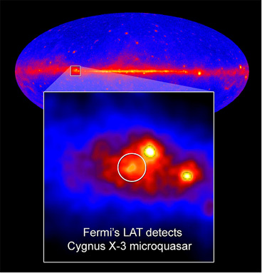 cygnus