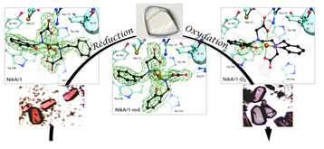 metalloenzymes