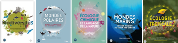 Dans la même collection