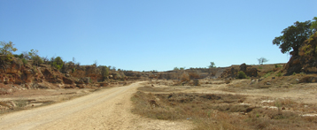 Lemurien 1