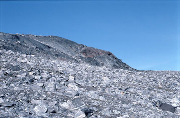 serpentinite