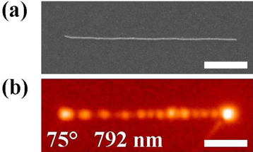 plasmons 1