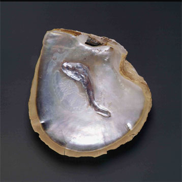 pescado