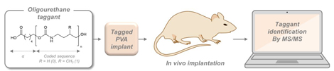 EtiquetteMoleculaire_schema