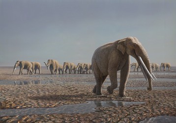 reconstruction