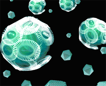 virus et algues