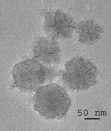 Nanocornets