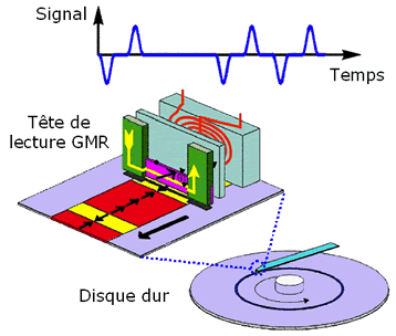 Figure3Fert
