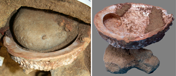 Una concha de abulón de las especies de Haliotis midae y la cáscara después de que el análisis de