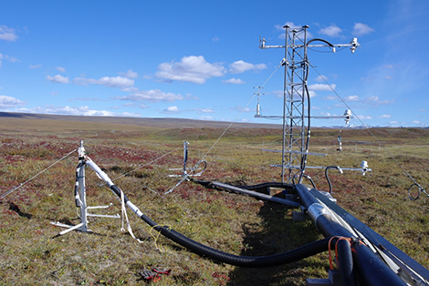 Flux tower