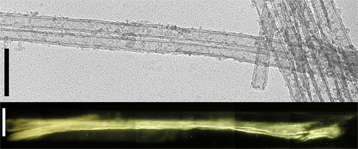 nanotubes image