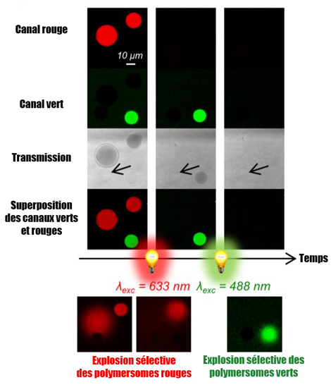 light-induced vesicle explosions