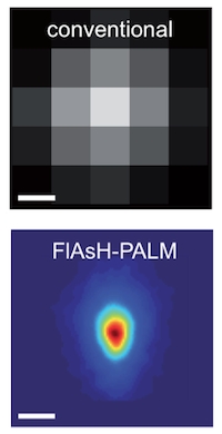Super-resolution optical