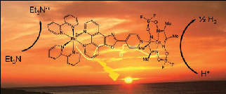 Photohydrogene