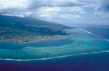 tahiti coral