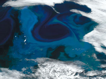 staelite image