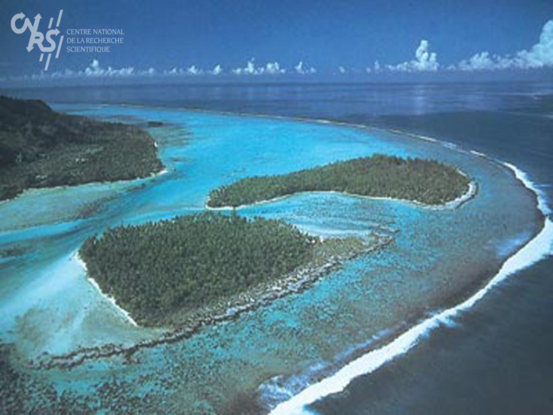 rencontres cnrs jeunes sciences et citoyens