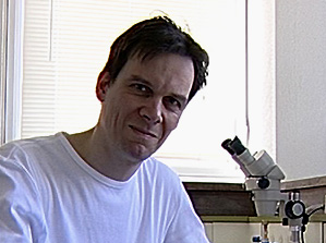 Sven Saupe