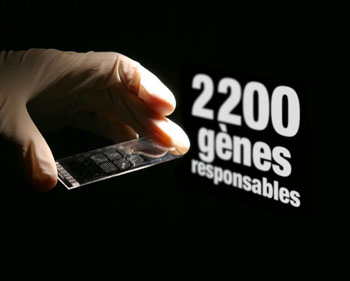 2200 gènes