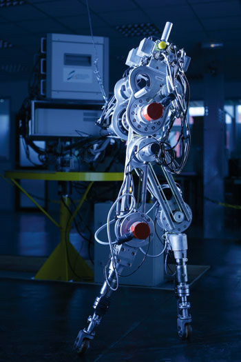 robot in situ