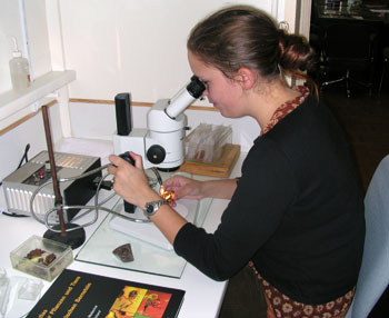 ambre microscope