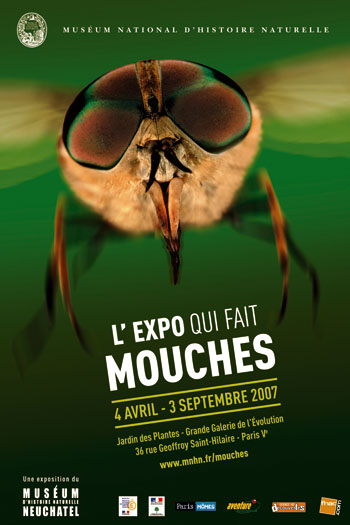 mouches