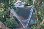 cabane