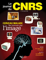 Renocntre cerveau