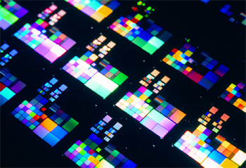 Etonnante image